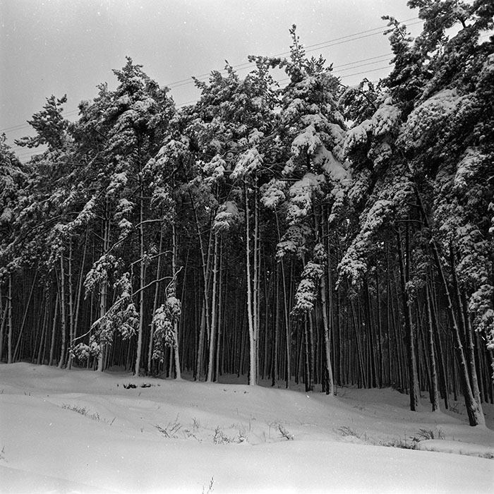 minerva_1966-1972_c1_c45_005