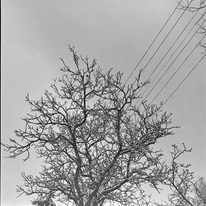 minerva_1966-1972_c1_c45_008