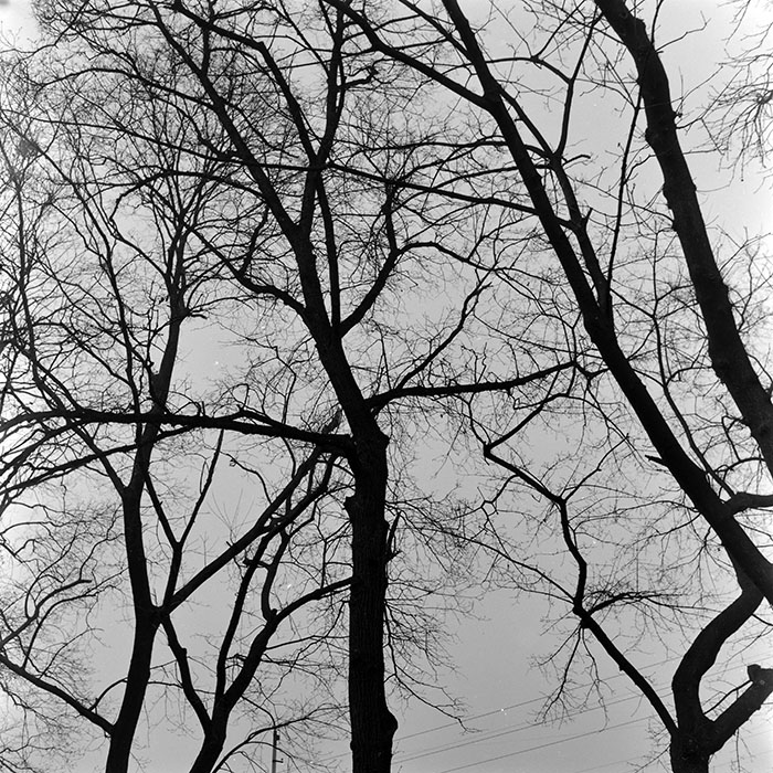 minerva_1966-1972_c1_c45_011