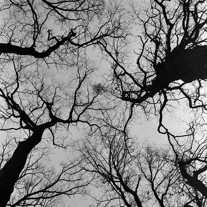 minerva_1966-1972_c1_c45_014