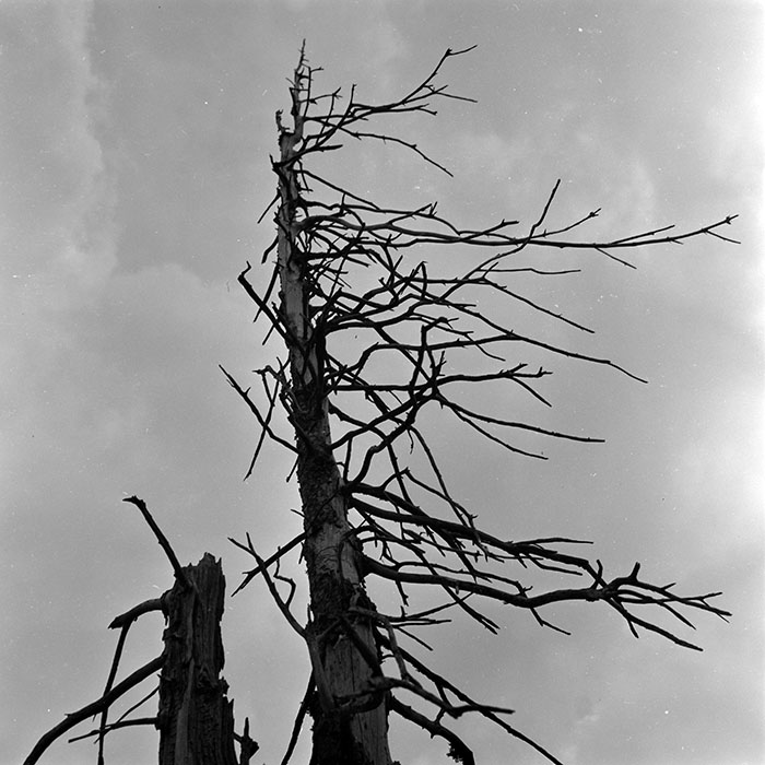 minerva_1966-1972_c1_c45_021