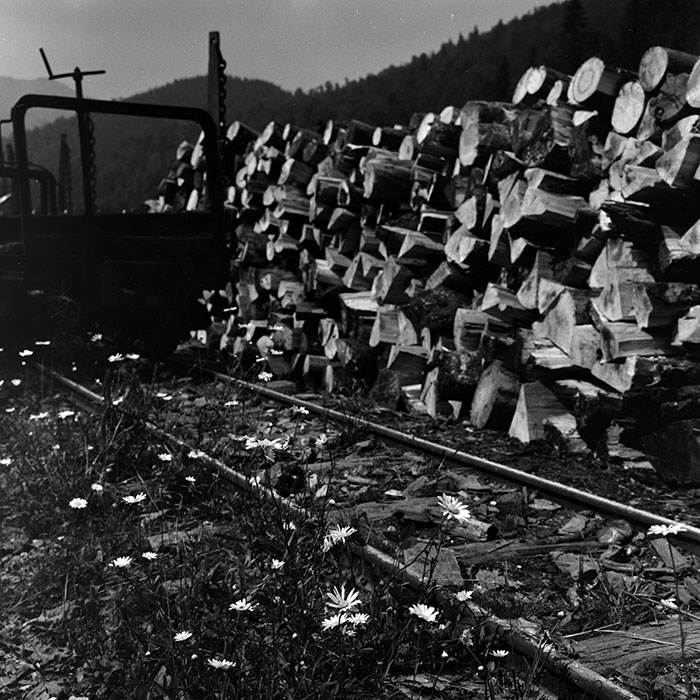 minerva_1967-1972_c2_c01_004