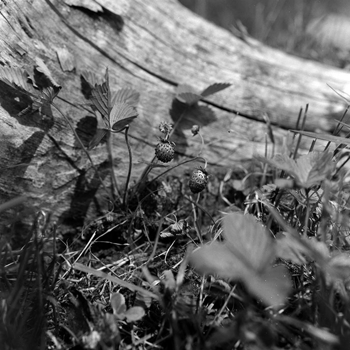 minerva_1967-1972_c2_c01_007