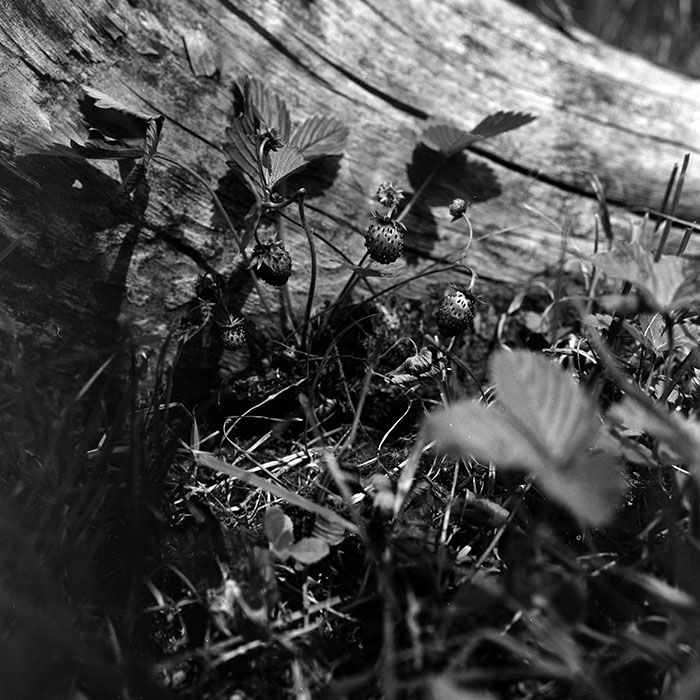 minerva_1967-1972_c2_c01_009