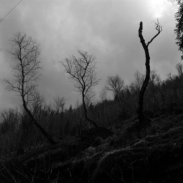 minerva_1967-1972_c2_c07_003