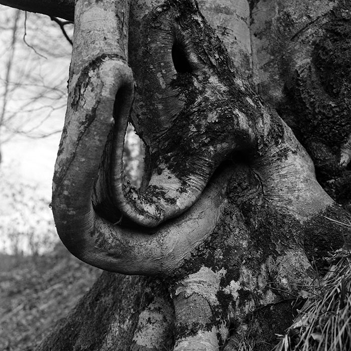 minerva_1967-1972_c2_c07_010