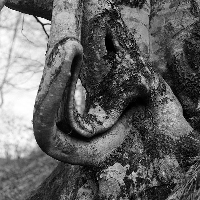 minerva_1967-1972_c2_c07_011