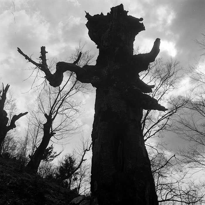 minerva_1967-1972_c2_c07_012