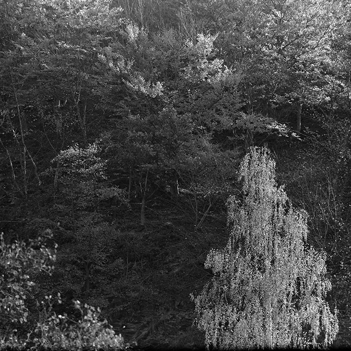 minerva_1967-1972_c2_c13_036