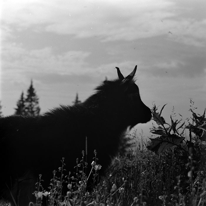 minerva_1967-1972_c2_c16_018