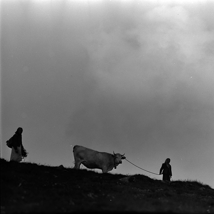 minerva_1967-1972_c2_c16_032