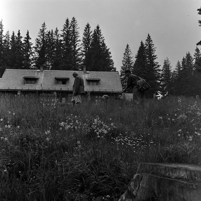 minerva_1967-1972_c2_c16_039