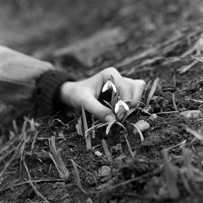 minerva_1967-1972_c2_c16_042