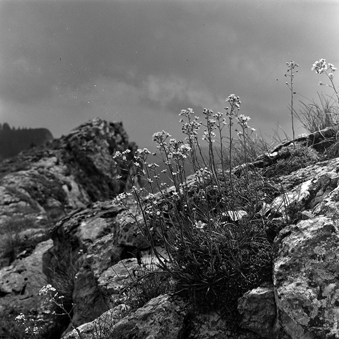 minerva_1967-1972_c2_c16_047