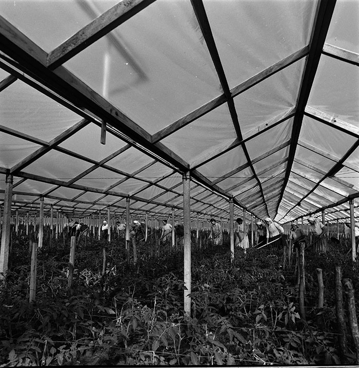 minerva_1967-1972_c3_c04_001