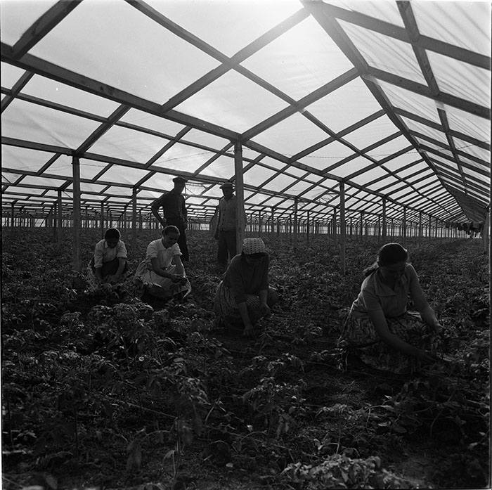 minerva_1967-1972_c3_c04_002