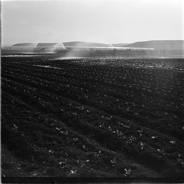 minerva_1967-1972_c3_c04_003