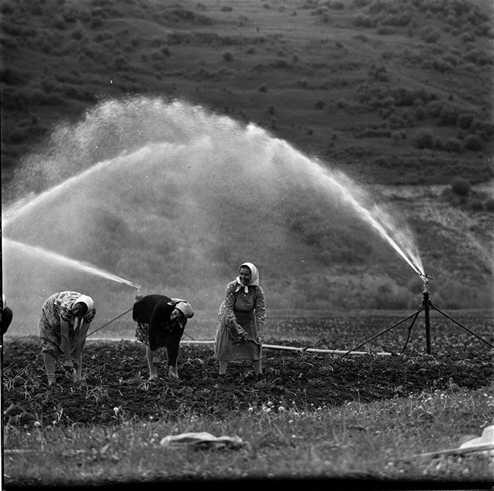 minerva_1967-1972_c3_c04_011