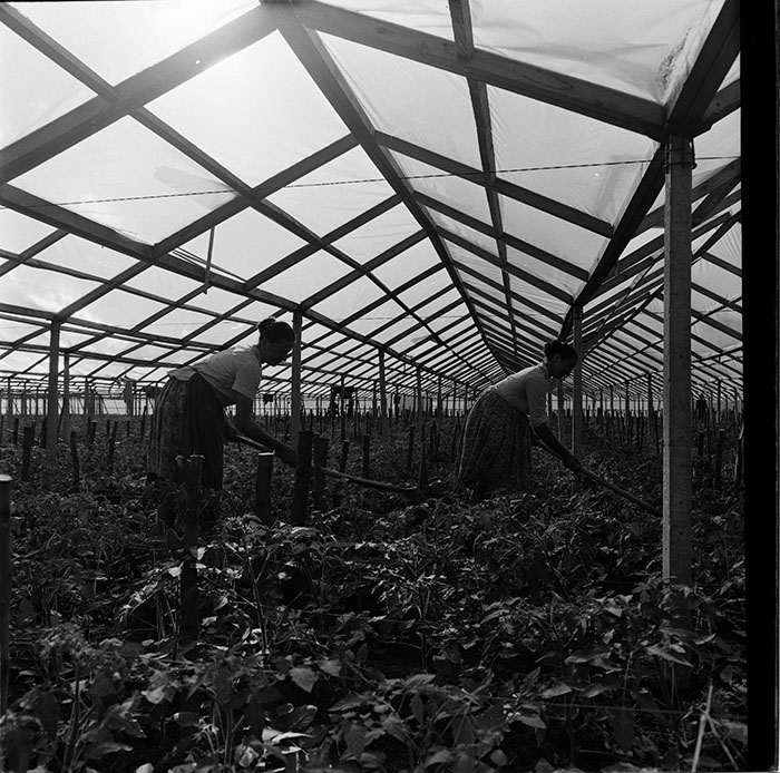 minerva_1967-1972_c3_c04_013