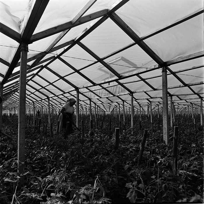 minerva_1967-1972_c3_c04_014