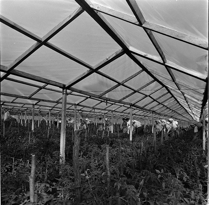 minerva_1967-1972_c3_c04_015