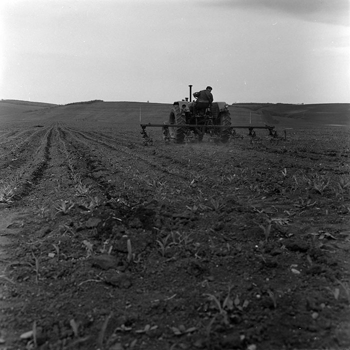 minerva_1967-1972_c3_c04_017