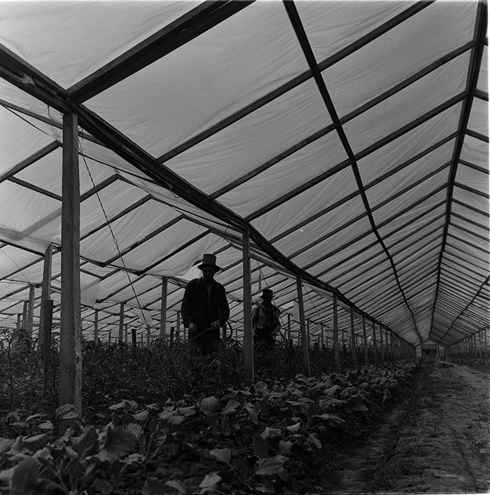 minerva_1967-1972_c3_c04_018