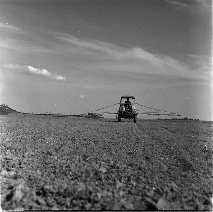 minerva_1967-1972_c3_c04_019