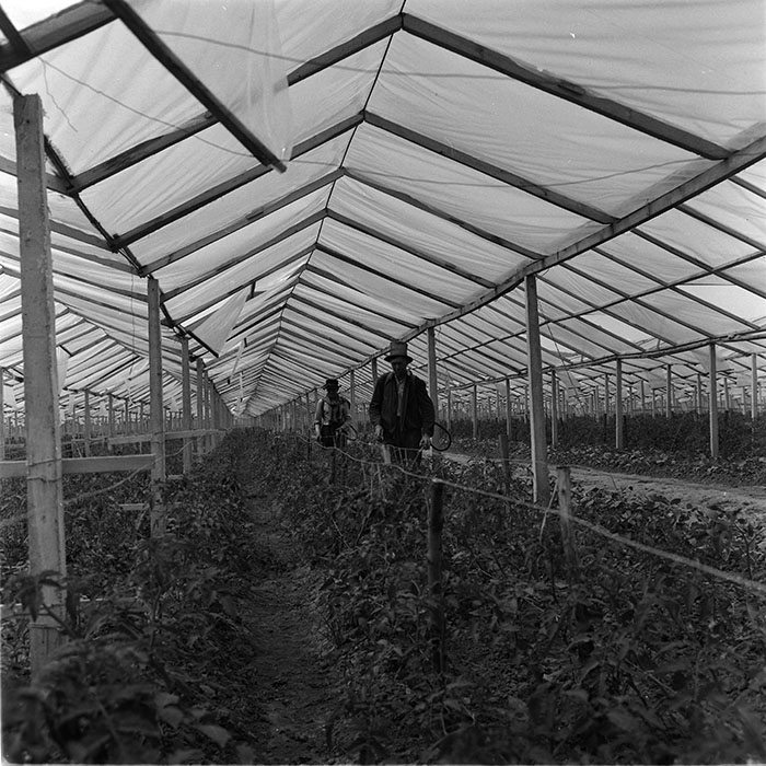 minerva_1967-1972_c3_c04_021