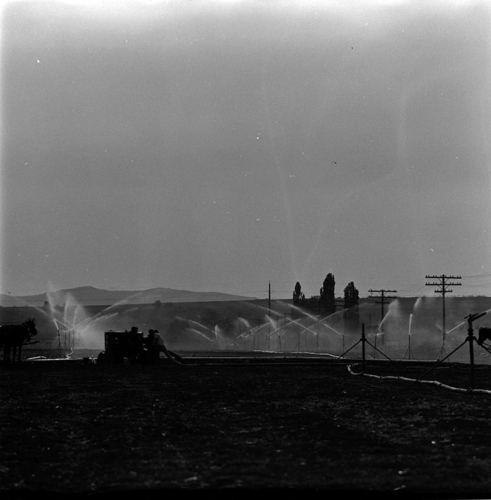 minerva_1967-1972_c3_c04_023