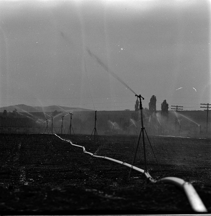 minerva_1967-1972_c3_c04_025