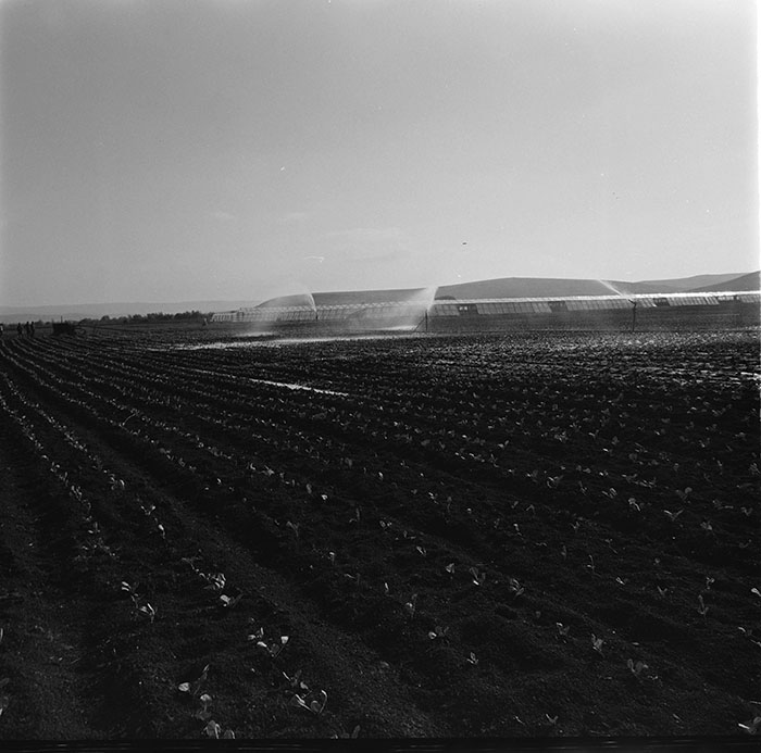 minerva_1967-1972_c3_c04_028