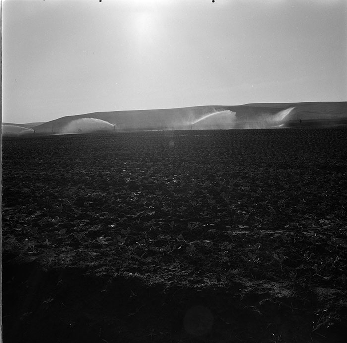 minerva_1967-1972_c3_c04_029