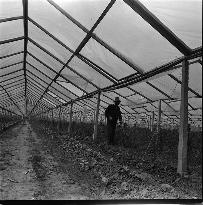 minerva_1967-1972_c3_c04_033