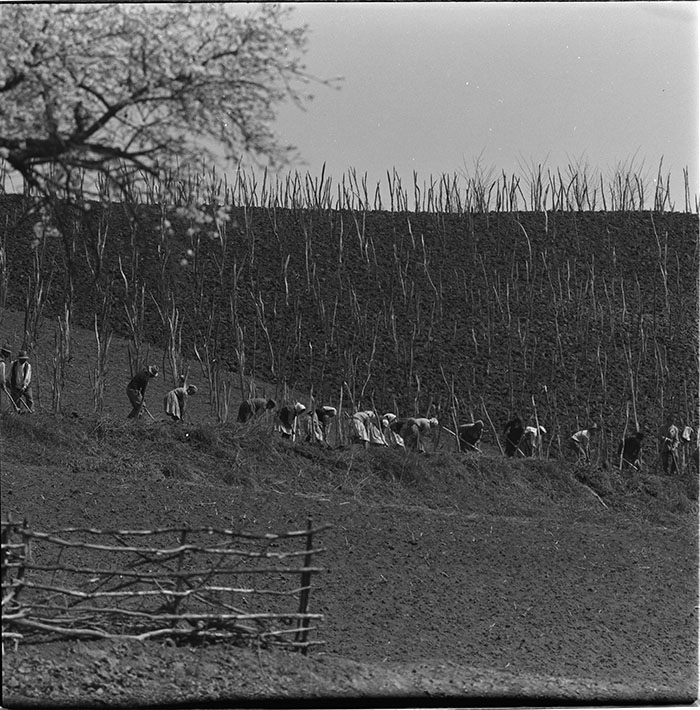 minerva_1967-1972_c3_c05_001