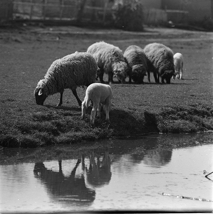 minerva_1967-1972_c3_c05_002