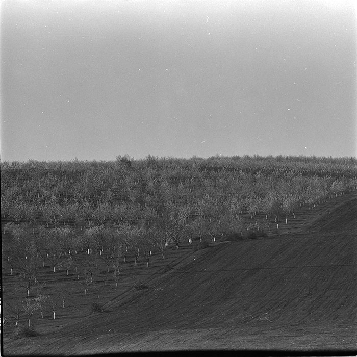 minerva_1967-1972_c3_c05_003