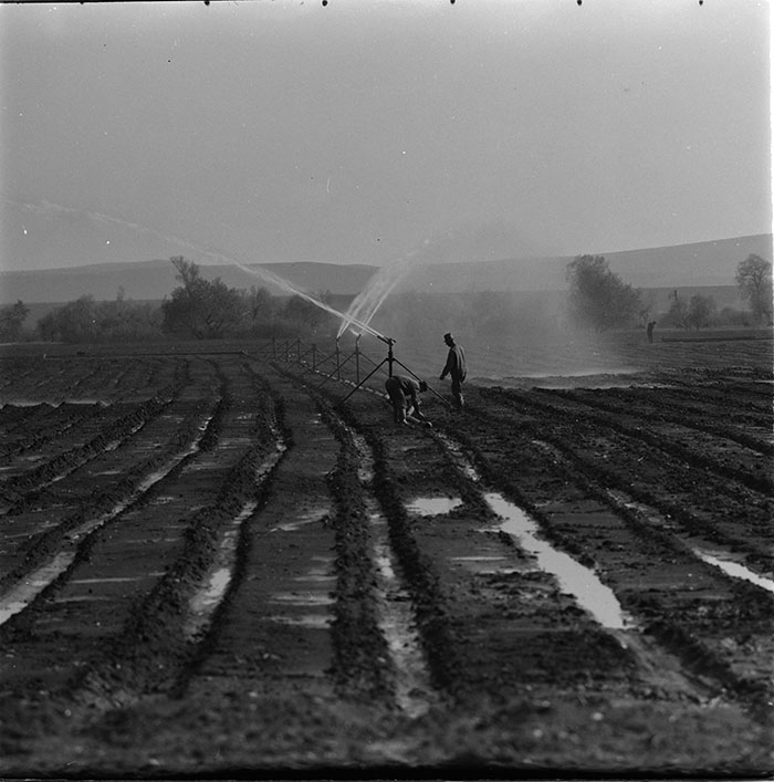 minerva_1967-1972_c3_c05_005