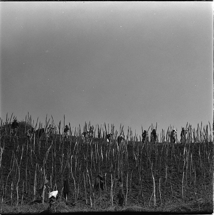 minerva_1967-1972_c3_c05_010