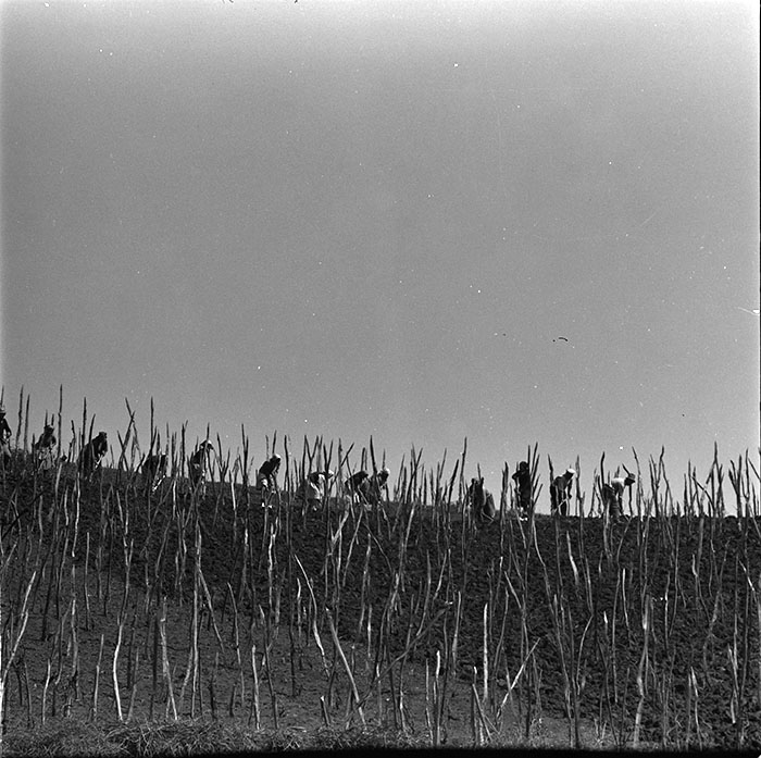 minerva_1967-1972_c3_c05_011