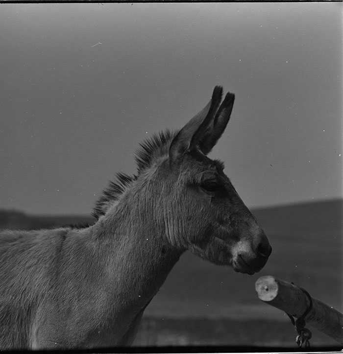 minerva_1967-1972_c3_c05_012