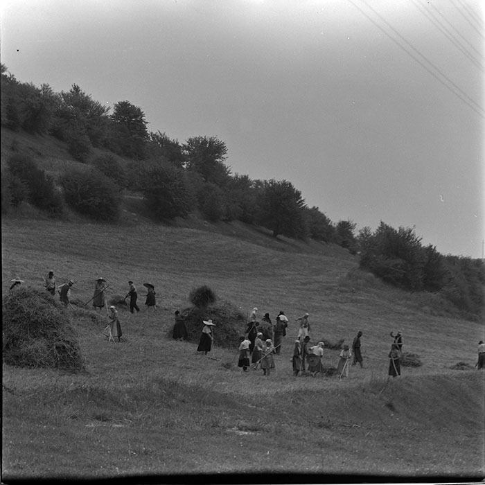 minerva_1967-1972_c3_c11_001