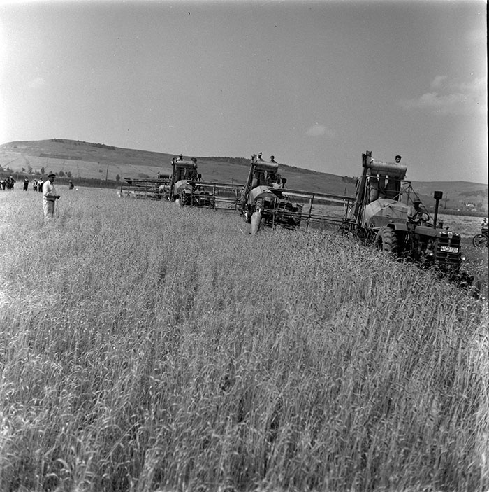 minerva_1967-1972_c3_c12_006