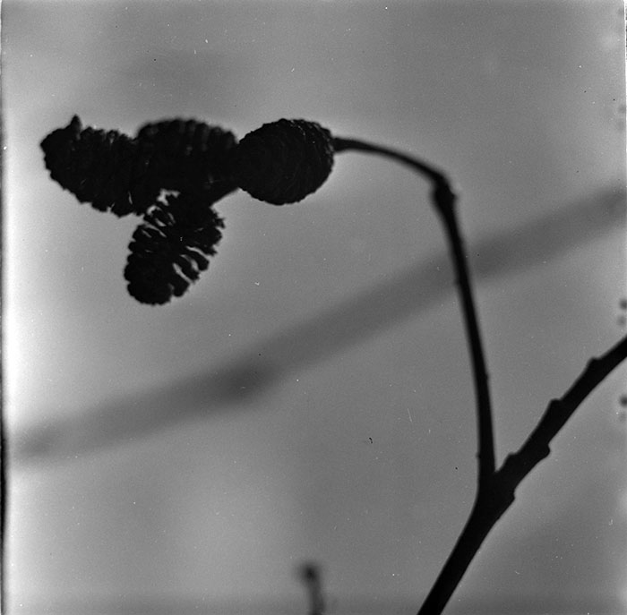 minerva_1967-1972_c3_c27_005