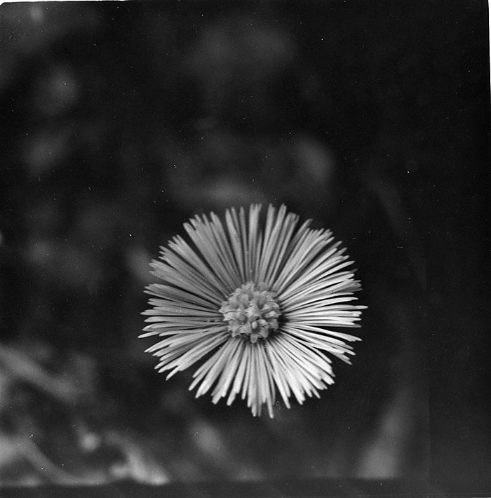 minerva_1967-1972_c3_c27_006