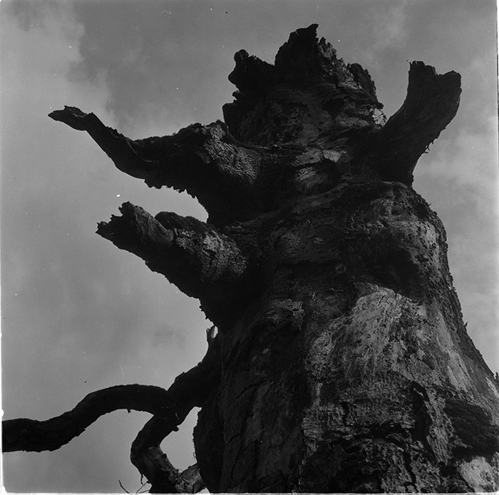 minerva_1967-1972_c3_c27_007