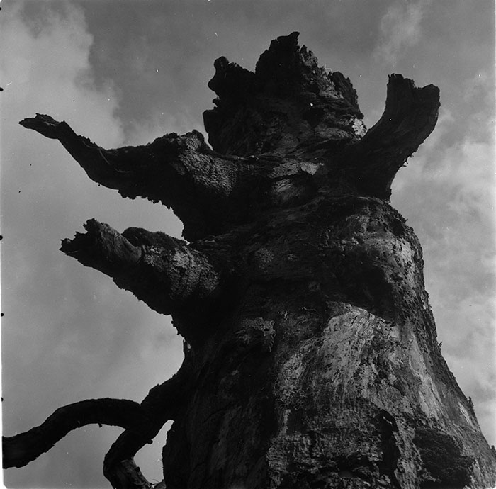 minerva_1967-1972_c3_c27_008