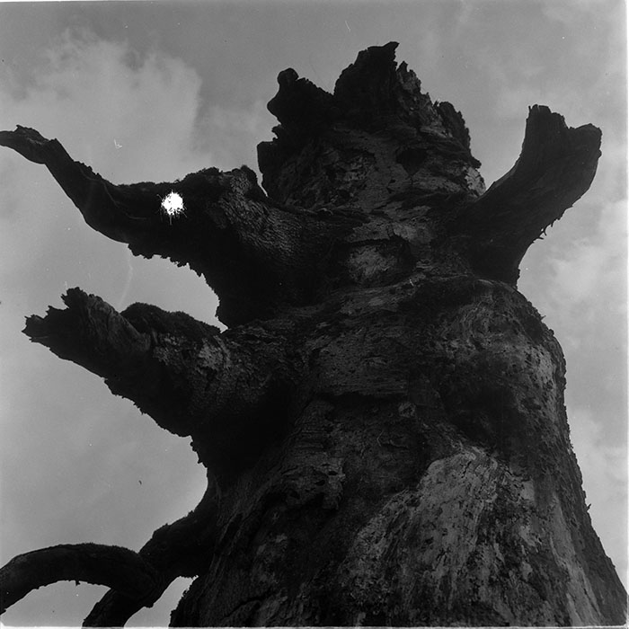 minerva_1967-1972_c3_c27_009