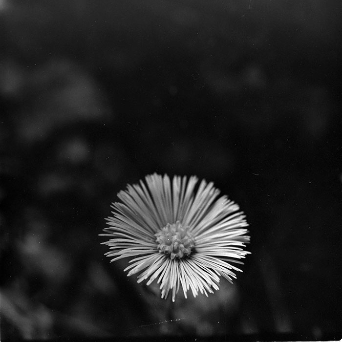 minerva_1967-1972_c3_c27_015