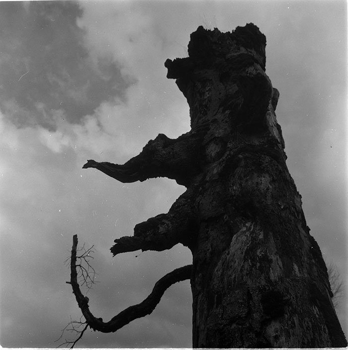 minerva_1967-1972_c3_c27_016